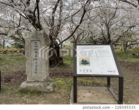 福岡市“福岡城黑田如水隼居址石碑” 福岡市“福岡城黑田如水隼居址石碑” 126595535