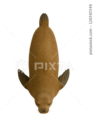 位於北海獅正上方 位於北海獅正上方 126595549