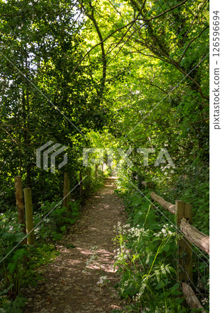Public footpath in the English countryside in springtime. Between Chelsham and Farleigh in Surrey, UK. Foreground focus. Public footpath in the English countryside in springtime. Between Chelsham and Farleigh in Surrey, UK. Foreground focus. 126596694