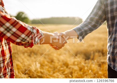 Close-up of two farmers shaking hands in a golden wheat field. Business concept, agriculture. Close-up of two farmers shaking hands in a golden wheat field. Business concept, agriculture. 126596766
