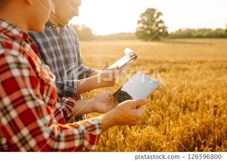 Agronomists in a golden wheat field with a digital tablet, studying the harvest. 126596800