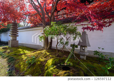Honmanji Temple Autumn Garden Honmanji Temple Autumn Garden 126597112