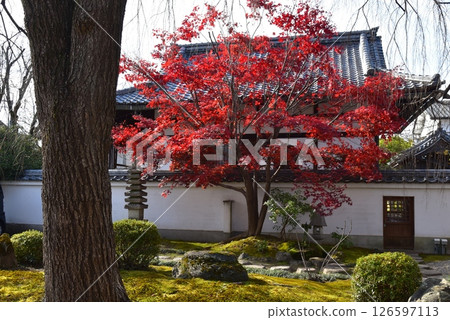 本滿寺秋園 126597113