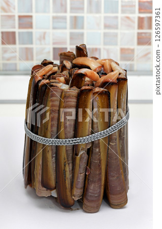 Razor clams Razor clams 126597361