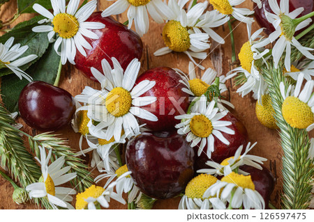 Fresh cherries and blooming chamomile flowers arranged on wooden surface create vibrant natural still life. Summer farm rustic concept, organic beauty, summer harvest, rustic simplicity Fresh cherries and blooming chamomile flowers arranged on wooden surface create vibrant natural still life. Summer farm rustic concept, organic beauty, summer harvest, rustic simplicity 126597475