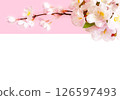 櫻花春日透明框 126597493