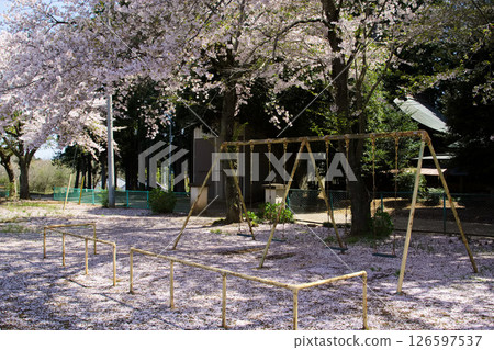 櫻花飄落,小公園 櫻花飄落,小公園 126597537