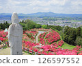 Kasama azalea park 126597552