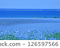 3 colors of blue 126597566