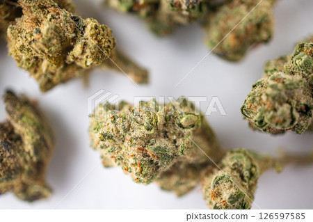 Green Dried Marijuana Buds Close Up macro. Cannabis trichomes strains. Green Dried Marijuana Buds Close Up macro. Cannabis trichomes strains. 126597585