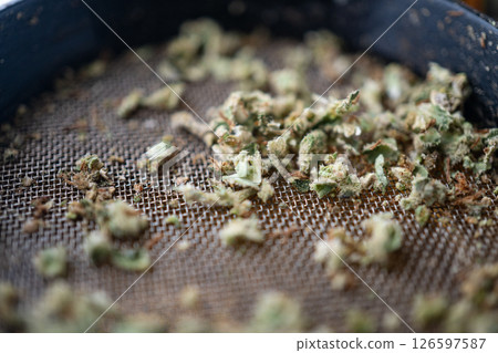 Marijuana Cannabis weed buds in grinder. 126597587