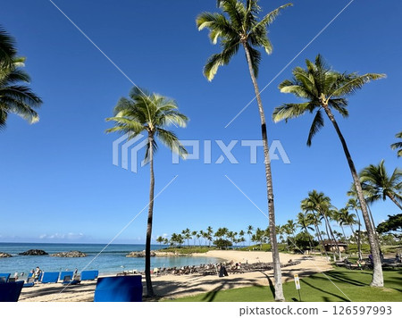 Scenery with palm tree Scenery with palm tree 126597993