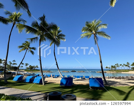 Blue sky, sea and palm trees Blue sky, sea and palm trees 126597994