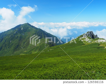 Summer in the Central Alps, Mt. Sannosawa Summer in the Central Alps, Mt. Sannosawa 126598116