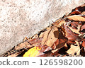 Fallen leaves piled up on concrete 126598200