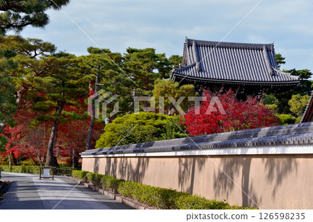 被秋葉包圍的相國寺 被秋葉包圍的相國寺 126598235