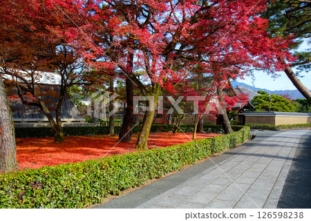 Landscape with autumn leaves Landscape with autumn leaves 126598238