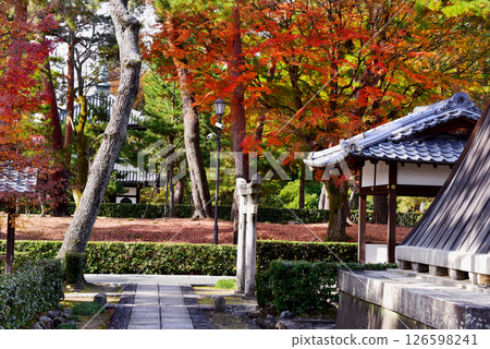 被秋葉包圍的宗旦稻荷神社 126598241