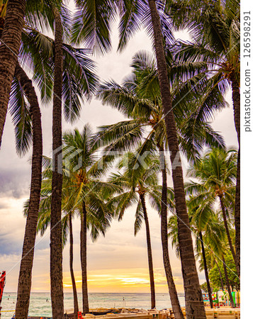 Sun set of Waikiki Sun set of Waikiki 126598291