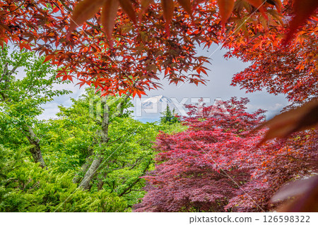 新倉山淺間神社 富士山 126598322