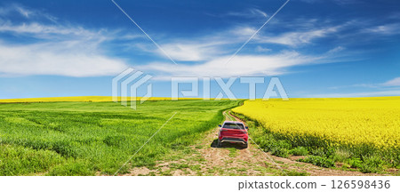 Panoramic landscape with yellow field and red car 126598436