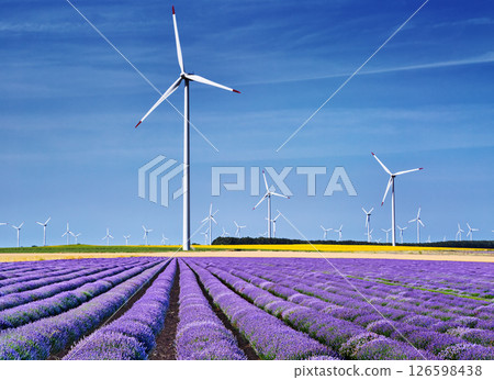 Wind turbines among agricultural fields in Bulgaria 126598438