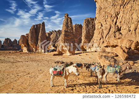 Sahara Desert, Tassili N'Ajjer, Algeria 126598472