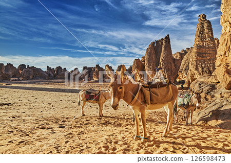 Sahara Desert, Tassili N'Ajjer, Algeria 126598473