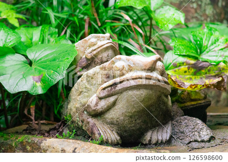 A stone statue of a parent and child frog surrounded by green leaves 126598600