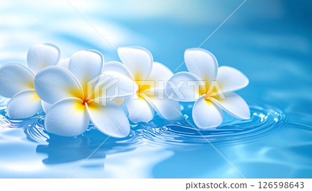 Plumeria flower floating on the water 126598643