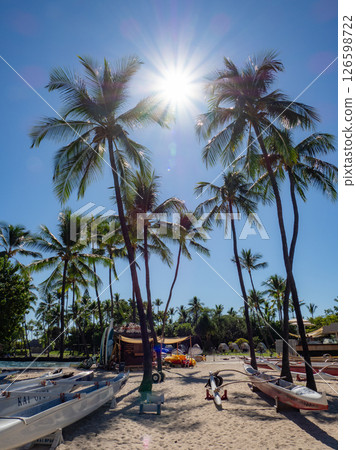 Palm trees shining in the blue sky Palm trees shining in the blue sky 126598722