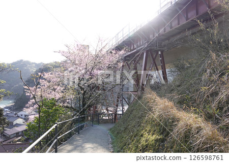 Old Amarube Bridge pier and cherry blossoms 126598761
