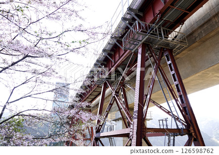 The newly completed concrete Yobu Bridge and the old Yobu Bridge piers Cherry blossoms 126598762