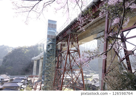 The newly completed concrete Yobu Bridge and the old Yobu Bridge piers Cherry blossoms 126598764