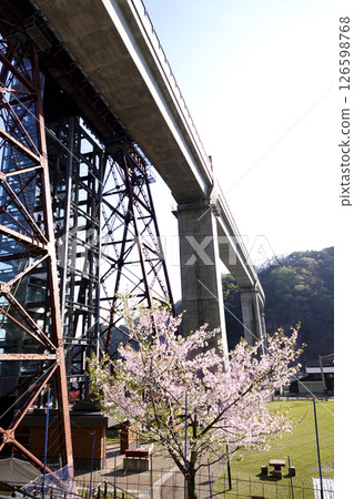 The newly completed concrete Yobu Bridge and the old Yobu Bridge piers Cherry blossoms 126598768