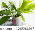 bouquet of lilies of the valley in porcelain milk jug 126598897