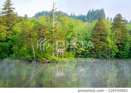 Mysterious Lake Onuma's Floating Islands 126598902