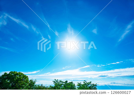 Blue sky, clouds and grove 126600027