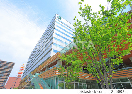 Scenery of Chiba City Hall, Chiba City, Chiba Prefecture Scenery of Chiba City Hall, Chiba City, Chiba Prefecture 126600233