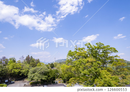 陽光明媚的日子，從山頂可以看到新鮮的綠色植物和藍天 126600553