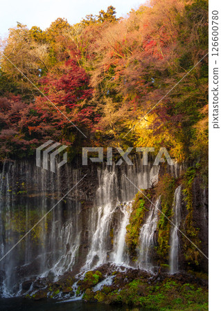 Shiraito Falls Cascading Amidst Lush Fujinomiya Shiraito Falls Cascading Amidst Lush Fujinomiya 126600780