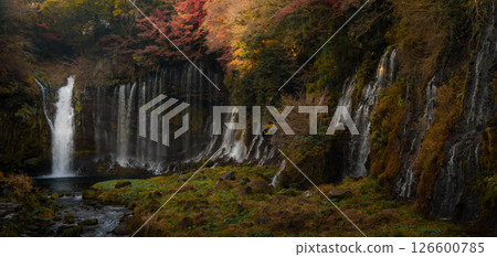 Shiraito Falls Cascading Amidst Lush Fujinomiya Shiraito Falls Cascading Amidst Lush Fujinomiya 126600785