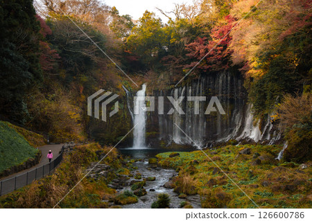Shiraito Falls Cascading Amidst Lush Fujinomiya Shiraito Falls Cascading Amidst Lush Fujinomiya 126600786
