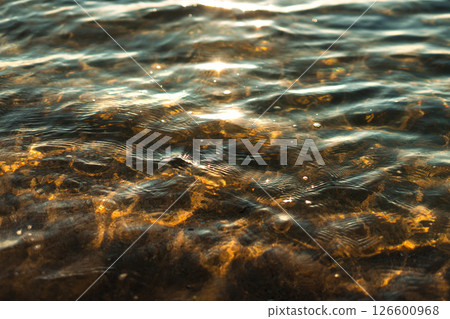sea's surface reflecting sparkling sunlight on a summer day. Golden light penetrates the shallow water 126600968