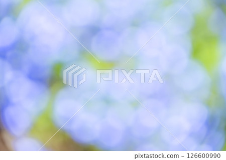 淺藍色、紫色、綠色、植物失焦背景素材 126600990