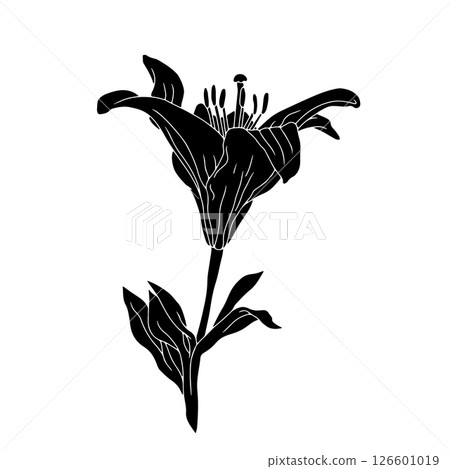 Hand drawn black silhouette of lily bloom with stem and leaf linocut. Monochrome birth month May flower. Hand drawn black silhouette of lily bloom with stem and leaf linocut. Monochrome birth month May flower. 126601019