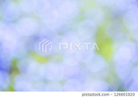 Light blue, purple, green, plant out-of-focus background material Light blue, purple, green, plant out-of-focus background material 126601020