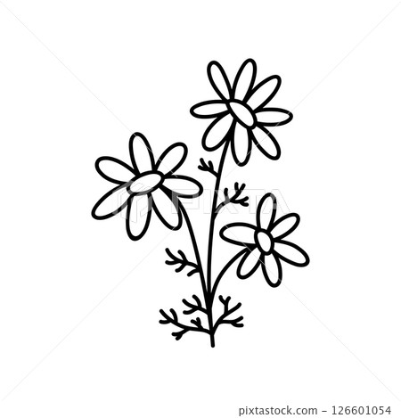 Cute daisies Cute daisies 126601054