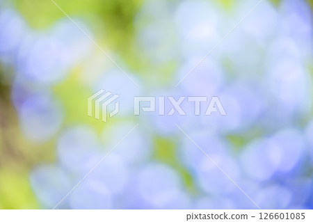 Light blue, purple, green, plant out-of-focus background material 126601085