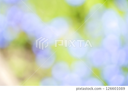 Light blue, purple, green, plant out-of-focus background material 126601089
